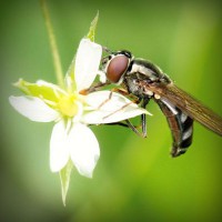 /album/healthcare-logistics/photolia-a02-jpg/