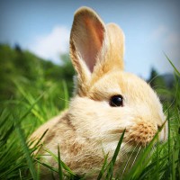 /album/healthcare-logistics/photolia-a03-jpg/