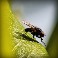 /album/healthcare-logistics/photolia-a04-jpg/