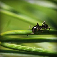 /album/healthcare-logistics/photolia-a05-jpg/