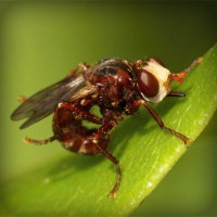 /album/healthcare-logistics/photolia-a06-jpg/