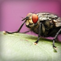 /album/healthcare-logistics/photolia-a08-jpg/